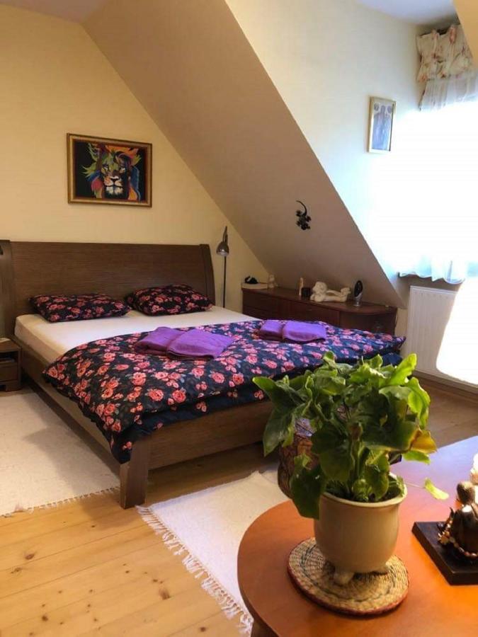 Willa nad Popradem Bed and Breakfast Piwniczna-Zdroj Exteriör bild