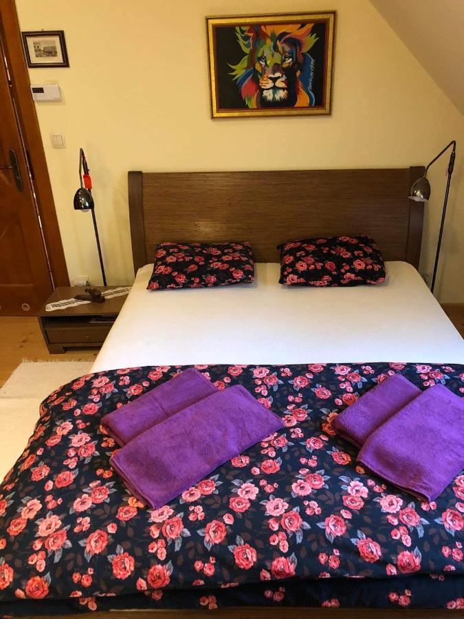 Willa nad Popradem Bed and Breakfast Piwniczna-Zdroj Exteriör bild
