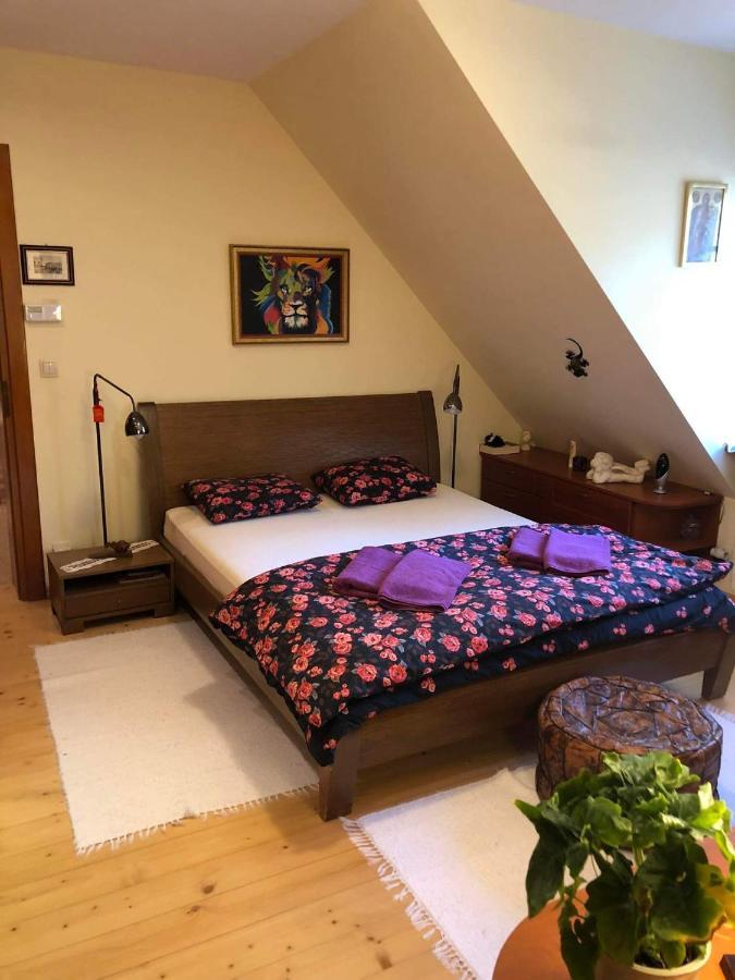 Willa nad Popradem Bed and Breakfast Piwniczna-Zdroj Exteriör bild