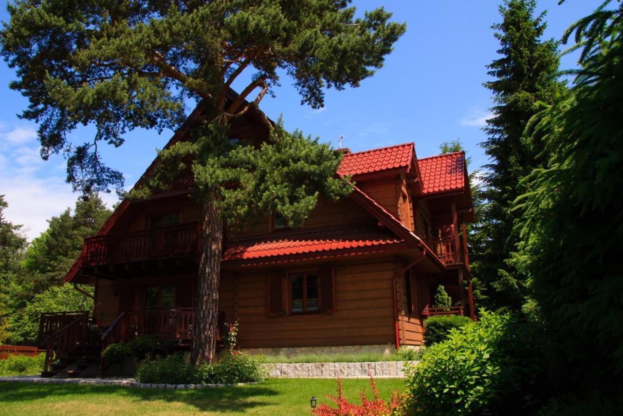 Willa nad Popradem Bed and Breakfast Piwniczna-Zdroj Exteriör bild