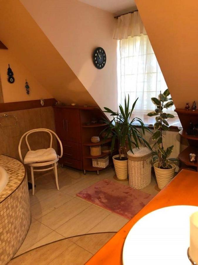 Willa nad Popradem Bed and Breakfast Piwniczna-Zdroj Exteriör bild