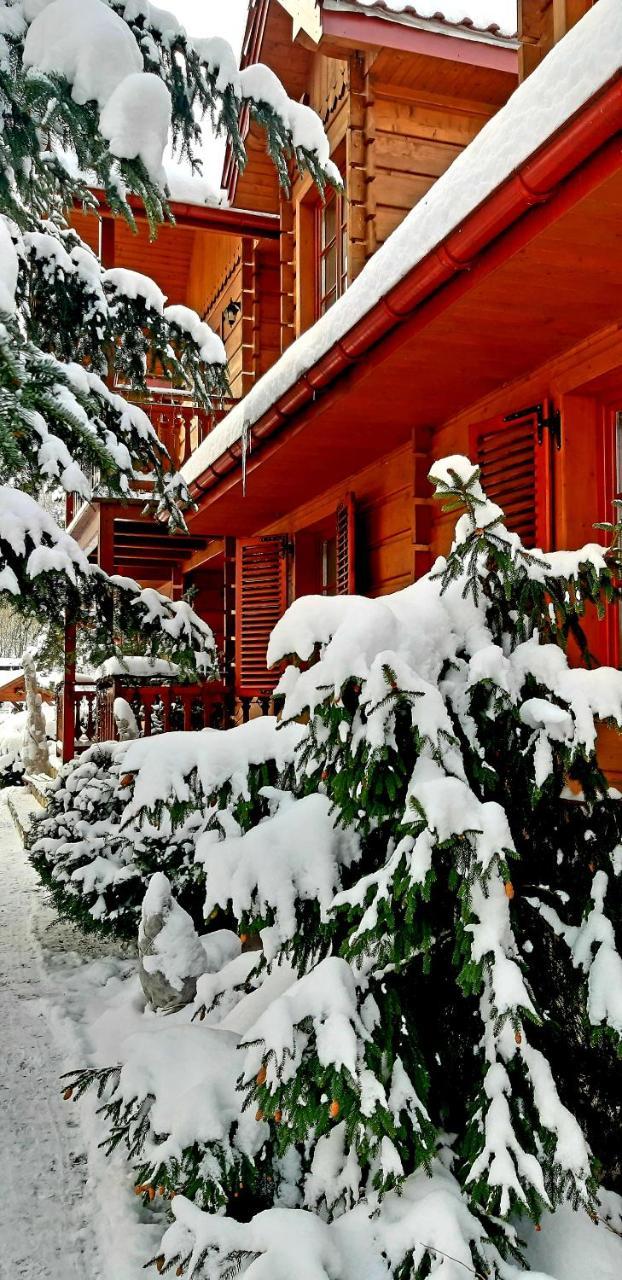 Willa nad Popradem Bed and Breakfast Piwniczna-Zdroj Exteriör bild